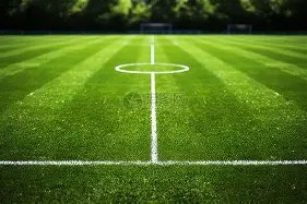 弗格替补高,效发挥,得分板助攻,爱游戏app,爱游戏官网,爱游戏体育官网,爱游戏体育app